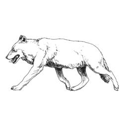 Dessin à colorier: Loup (Animaux) #10530 - Coloriages à Imprimer Gratuits
