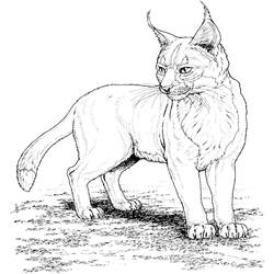 Dessin à colorier: Lynx (Animaux) #10790 - Coloriages à Imprimer Gratuits