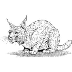 Dessin à colorier: Lynx (Animaux) #10800 - Coloriages à Imprimer Gratuits
