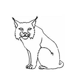 Dessin à colorier: Lynx (Animaux) #10807 - Coloriages à Imprimer Gratuits