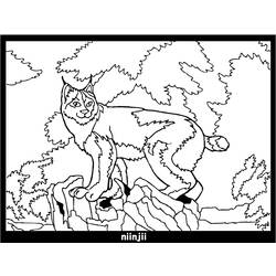 Dessin à colorier: Lynx (Animaux) #10814 - Coloriages à Imprimer Gratuits