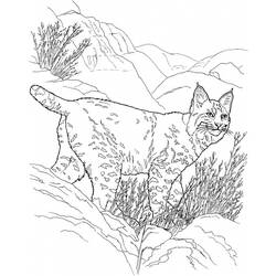 Dessin à colorier: Lynx (Animaux) #10815 - Coloriages à Imprimer Gratuits
