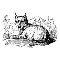 Dessin à colorier: Lynx (Animaux) #10817 - Coloriages à Imprimer Gratuits