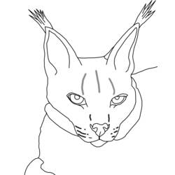 Dessin à colorier: Lynx (Animaux) #10828 - Coloriages à Imprimer Gratuits