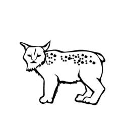 Dessin à colorier: Lynx (Animaux) #10829 - Coloriages à Imprimer Gratuits