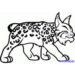 Dessin à colorier: Lynx (Animaux) #10840 - Coloriages à Imprimer Gratuits