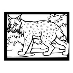 Dessin à colorier: Lynx (Animaux) #10851 - Coloriages à Imprimer Gratuits