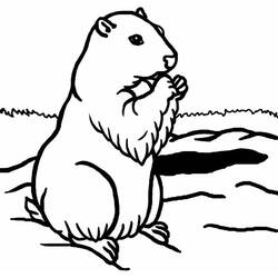 Dessin à colorier: Marmotte (Animaux) #10955 - Coloriages à Imprimer Gratuits