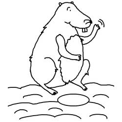 Dessin à colorier: Marmotte (Animaux) #10968 - Coloriages à Imprimer Gratuits