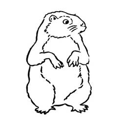Dessin à colorier: Marmotte (Animaux) #10985 - Coloriages à Imprimer Gratuits