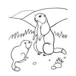Dessin à colorier: Marmotte (Animaux) #10990 - Coloriages à Imprimer Gratuits