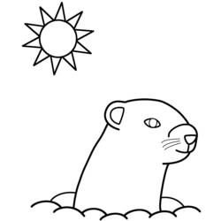 Dessin à colorier: Marmotte (Animaux) #10997 - Coloriages à Imprimer Gratuits