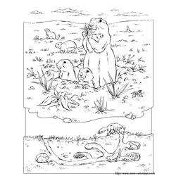 Dessin à colorier: Marmotte (Animaux) #11051 - Coloriages à Imprimer Gratuits