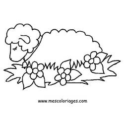 Dessin à colorier: Mouton (Animaux) #11391 - Coloriages à Imprimer Gratuits