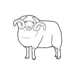 Dessin à colorier: Mouton (Animaux) #11401 - Coloriages à Imprimer Gratuits