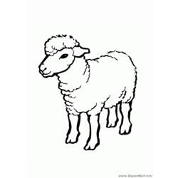 Dessin à colorier: Mouton (Animaux) #11409 - Coloriages à Imprimer Gratuits
