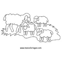 Dessin à colorier: Mouton (Animaux) #11414 - Coloriages à Imprimer Gratuits