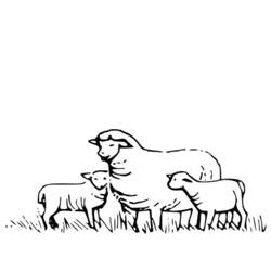 Dessin à colorier: Mouton (Animaux) #11415 - Coloriages à Imprimer Gratuits