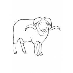 Dessin à colorier: Mouton (Animaux) #11421 - Coloriages à Imprimer Gratuits