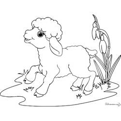 Dessin à colorier: Mouton (Animaux) #11422 - Coloriages à Imprimer Gratuits