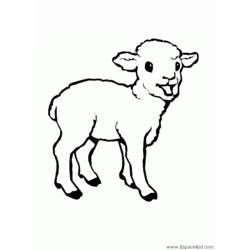 Dessin à colorier: Mouton (Animaux) #11427 - Coloriages à Imprimer Gratuits