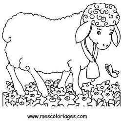 Dessin à colorier: Mouton (Animaux) #11429 - Coloriages à Imprimer Gratuits