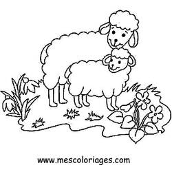 Dessin à colorier: Mouton (Animaux) #11436 - Coloriages à Imprimer Gratuits