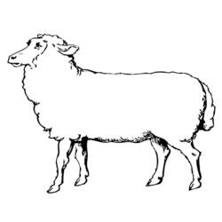 Dessin à colorier: Mouton (Animaux) #11452 - Coloriages à Imprimer Gratuits