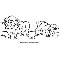 Dessin à colorier: Mouton (Animaux) #11456 - Coloriages à Imprimer Gratuits