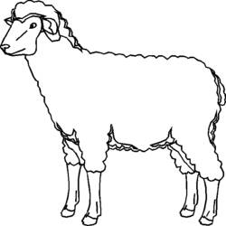 Dessin à colorier: Mouton (Animaux) #11467 - Coloriages à Imprimer Gratuits