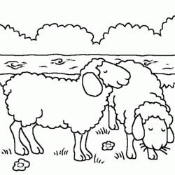 Dessin à colorier: Mouton (Animaux) #11500 - Coloriages à Imprimer Gratuits