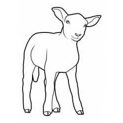 Dessin à colorier: Mouton (Animaux) #11502 - Coloriages à Imprimer Gratuits