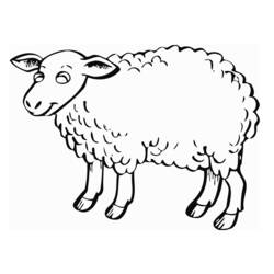 Dessin à colorier: Mouton (Animaux) #11503 - Coloriages à Imprimer Gratuits