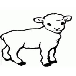 Dessin à colorier: Mouton (Animaux) #11505 - Coloriages à Imprimer Gratuits