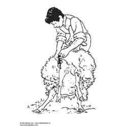 Dessin à colorier: Mouton (Animaux) #11511 - Coloriages à Imprimer Gratuits
