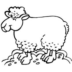 Dessin à colorier: Mouton (Animaux) #11571 - Coloriages à Imprimer Gratuits