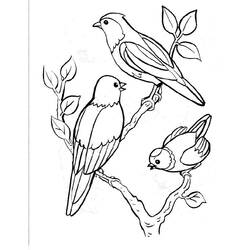 Dessin à colorier: Oiseaux (Animaux) #11841 - Coloriages à Imprimer Gratuits