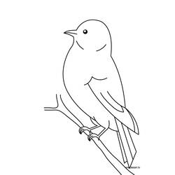 Dessin à colorier: Oiseaux (Animaux) #11844 - Coloriages à Imprimer Gratuits