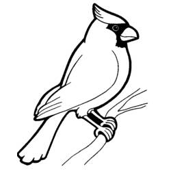 Dessin à colorier: Oiseaux (Animaux) #11846 - Coloriages à Imprimer Gratuits