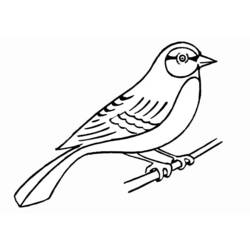 Dessin à colorier: Oiseaux (Animaux) #11861 - Coloriages à Imprimer Gratuits