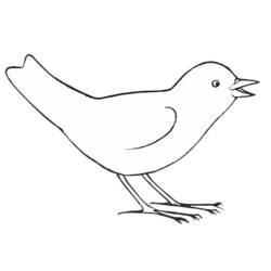 Dessin à colorier: Oiseaux (Animaux) #11884 - Coloriages à Imprimer Gratuits