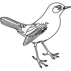 Dessin à colorier: Oiseaux (Animaux) #11913 - Coloriages à Imprimer Gratuits
