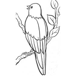 Dessin à colorier: Oiseaux (Animaux) #11976 - Coloriages à Imprimer Gratuits