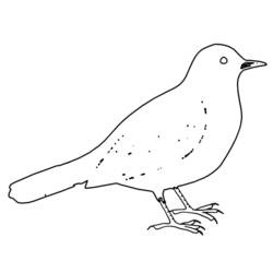 Dessin à colorier: Oiseaux (Animaux) #11977 - Coloriages à Imprimer Gratuits
