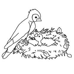 Dessin à colorier: Oiseaux (Animaux) #11980 - Coloriages à Imprimer Gratuits