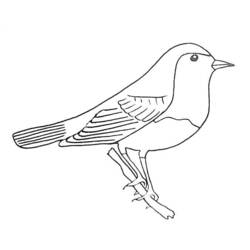Dessin à colorier: Oiseaux (Animaux) #12021 - Coloriages à Imprimer Gratuits
