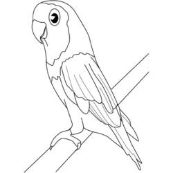 Dessin à colorier: Oiseaux (Animaux) #12084 - Coloriages à Imprimer Gratuits