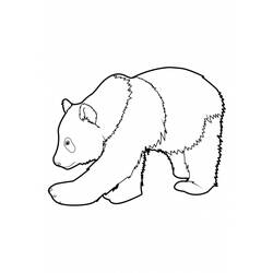 Dessin à colorier: Panda (Animaux) #12452 - Coloriages à Imprimer Gratuits