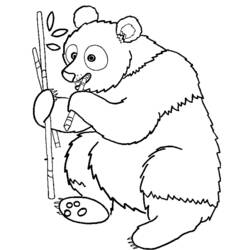 Dessin à colorier: Panda (Animaux) #12463 - Coloriages à Imprimer Gratuits