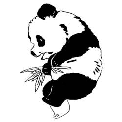 Dessin à colorier: Panda (Animaux) #12499 - Coloriages à Imprimer Gratuits